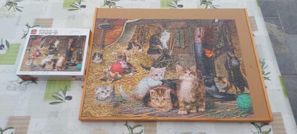Puzzel king 1000 stukjes, Hobby en Vrije tijd, Ophalen, 500 t/m 1500 stukjes, Zo goed als nieuw, Legpuzzel