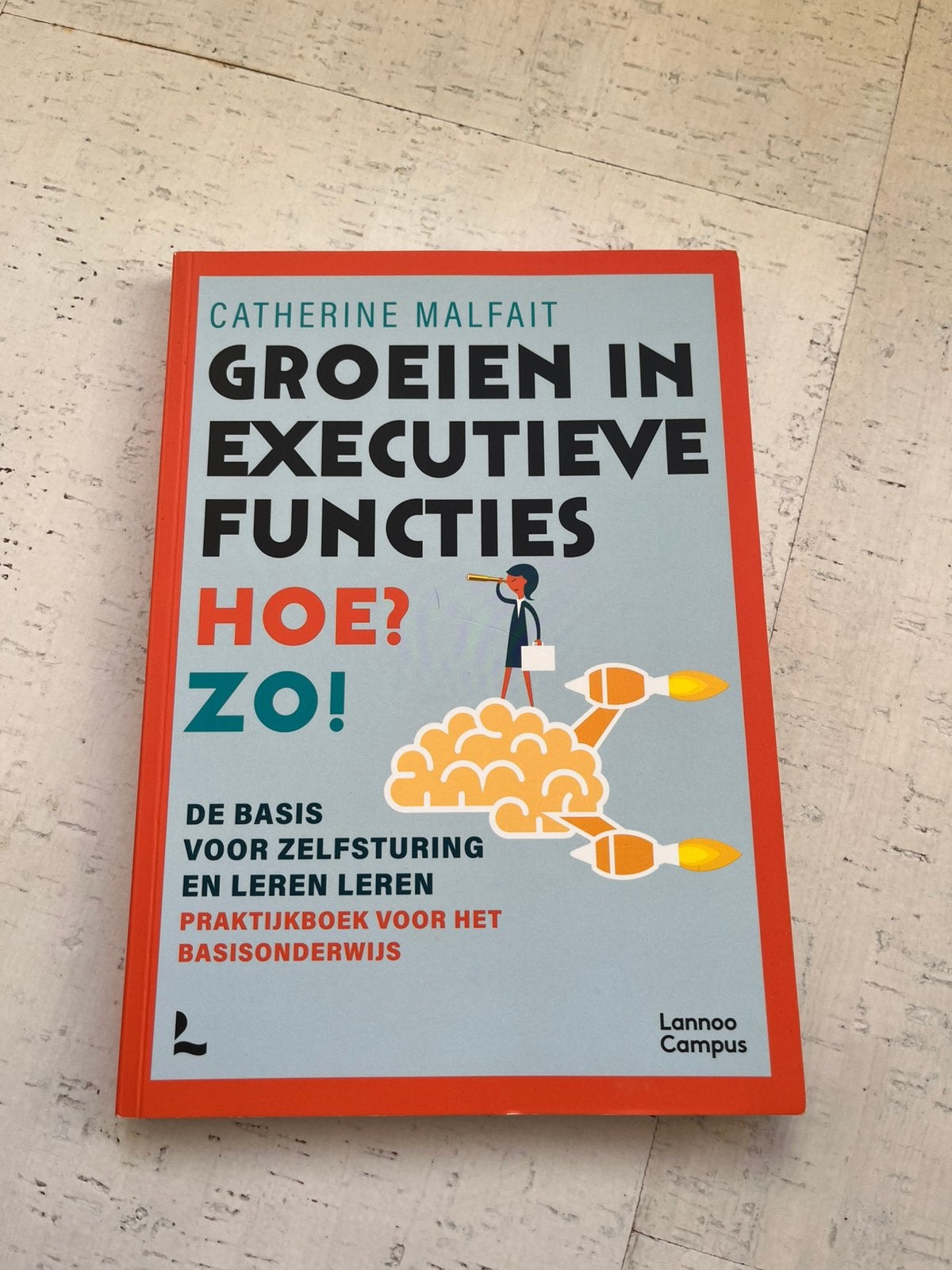 Catherine Malfait - Groeien in executieve functies. Hoe? Zo!, Boeken, Ophalen, Catherine Malfait