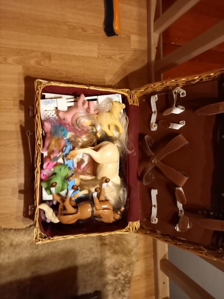 Paardenstal barbie en little pony, Ophalen