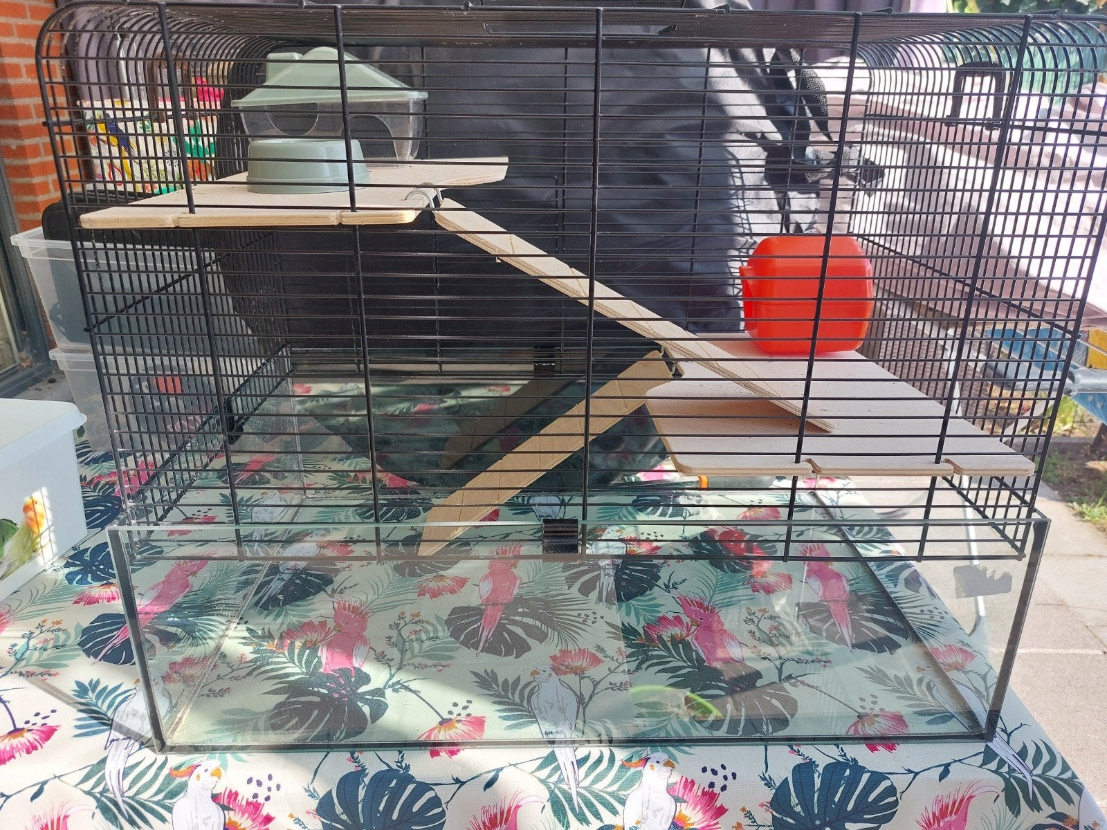 verblijf voor kleine knaagdieren kooi terra, Ophalen, Kooi, Hamster