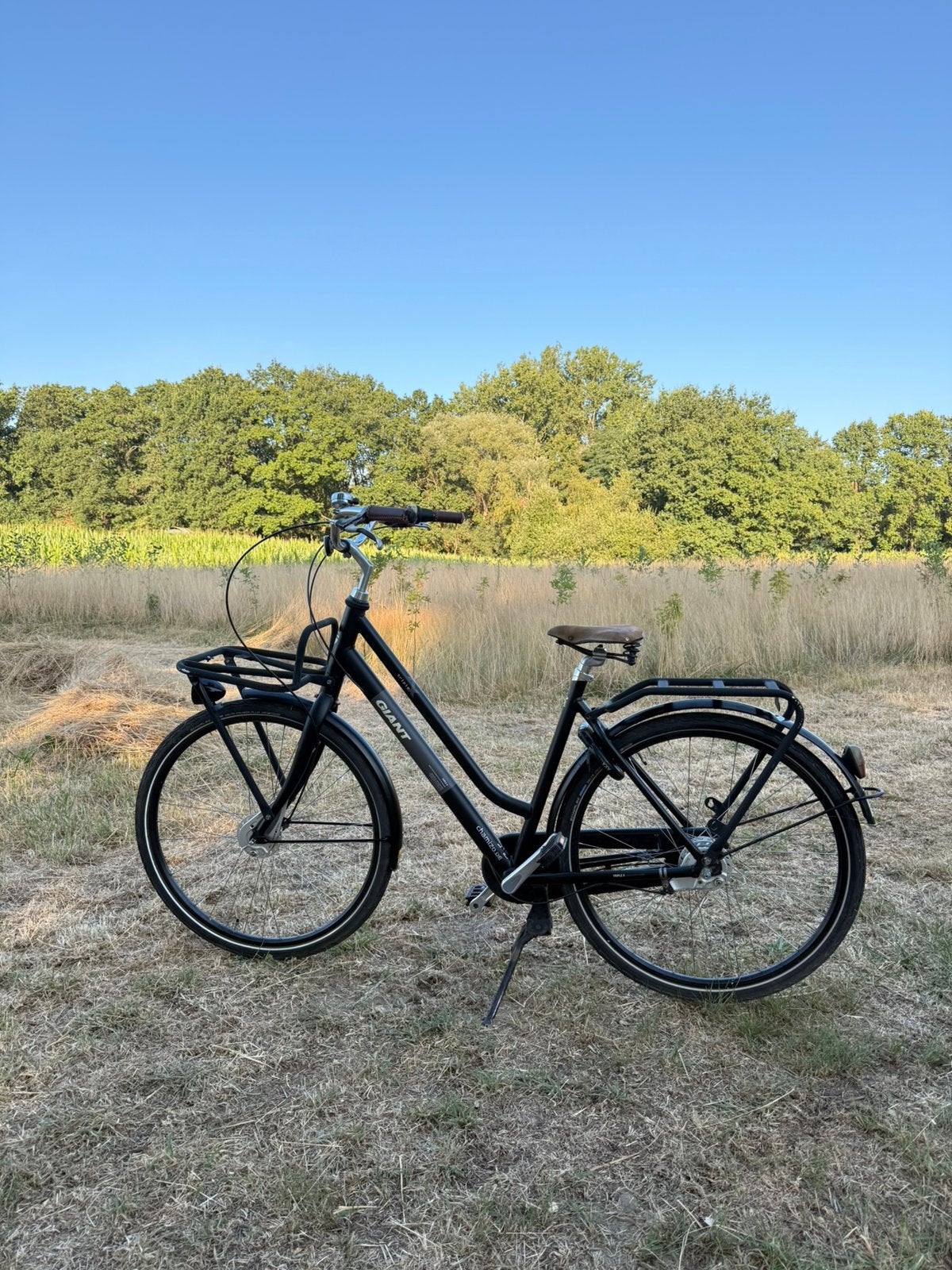 Giant Triple X transportfiets – Shimano Nexus 7, Ophalen, Gebruikt, Giant