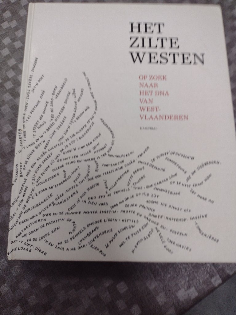 Boek HET ZILTE WESTEN, Ophalen, Zo goed als nieuw, Overige gebieden