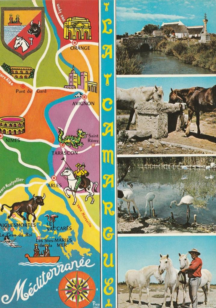 LA  CAMARGUE  -  Souvenir met diverse zichten, Envoi, Non affranchie, France