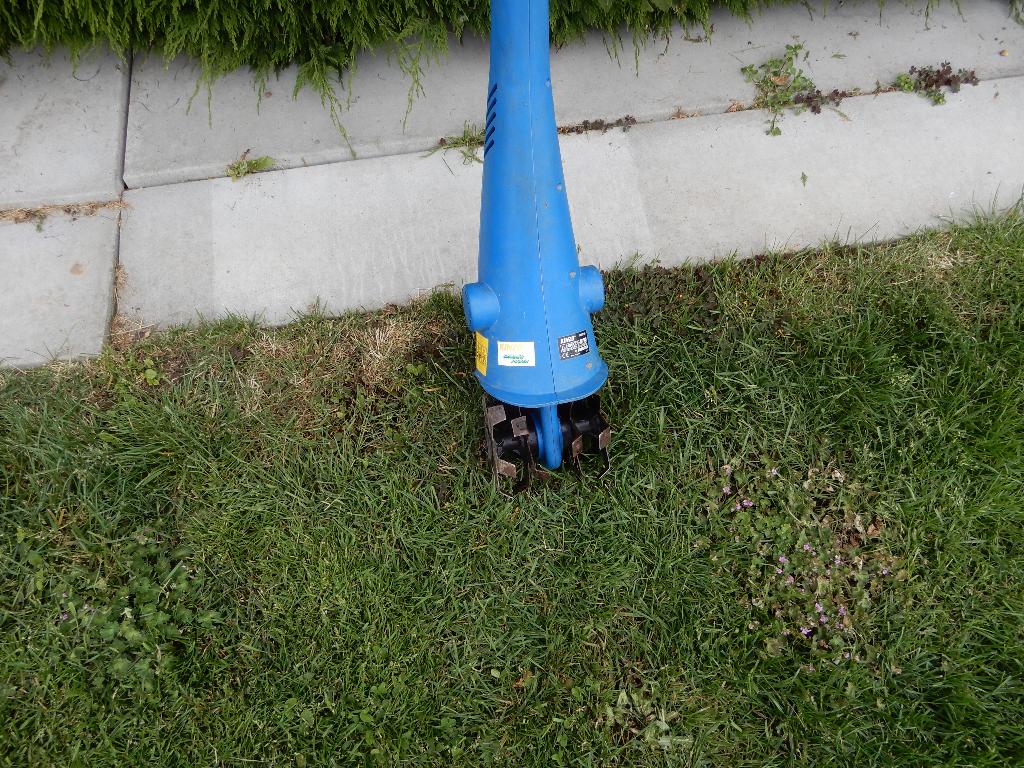 elektrische frees, Enlèvement, Comme neuf, Coupeur de jardin, Overig
