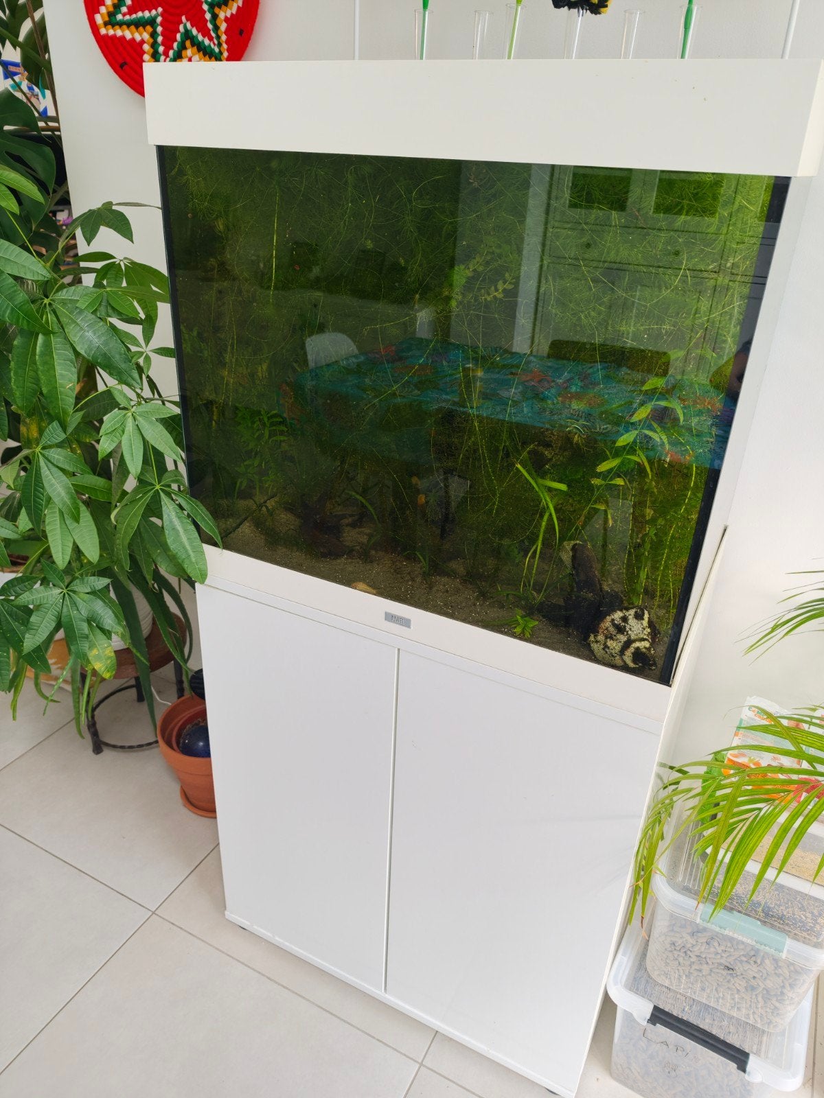 Aquarium complet Juwel Lido 120L avec meuble, filtre externe, Enlèvement, JBL