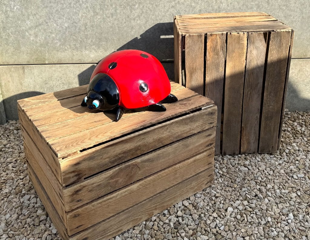 Tuinbeeld lieveheersbeestje +-35cm, Enlèvement, Neuf, Autres matériaux, Animal