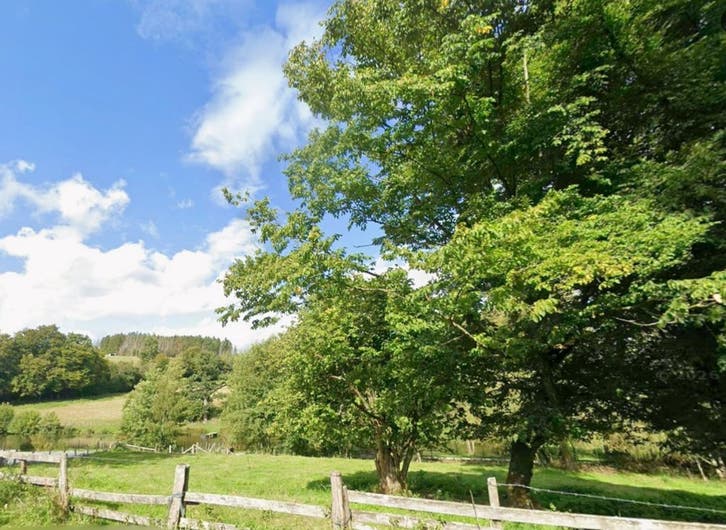 Terrain à vendre près de La Roche en Ardenne
