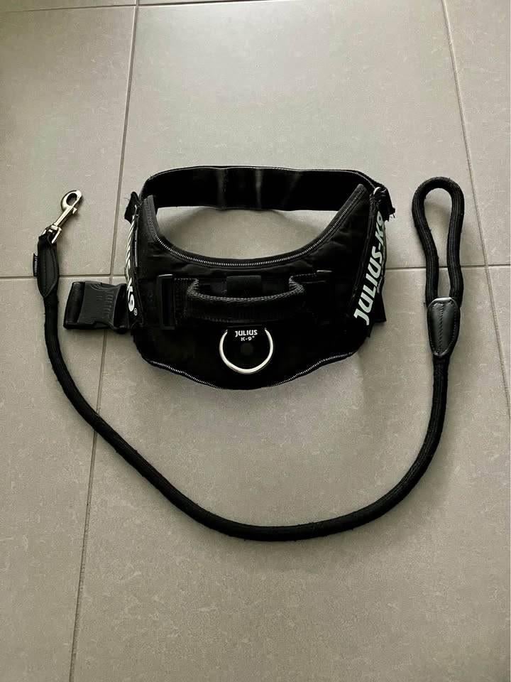 Julius K9 harnas met korte riem/leiband, Dieren en Toebehoren, Ophalen of Verzenden, Gebruikt, Hondenriem