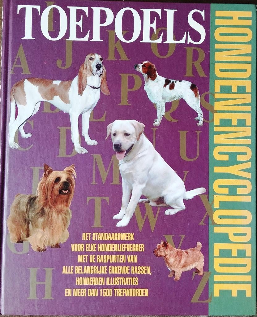 Honden x 4, Ophalen of Verzenden, Honden