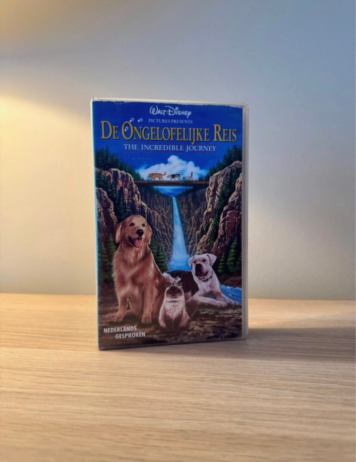 VHS - De Ongelofelijke Reis, Cd's en Dvd's, Ophalen of Verzenden, Zo goed als nieuw, VHS