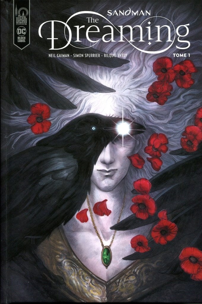 Sandman The dreaming tome 1 Neil Gaiman, Boeken, Eén comic, Ophalen of Verzenden, Zo goed als nieuw, Amerika