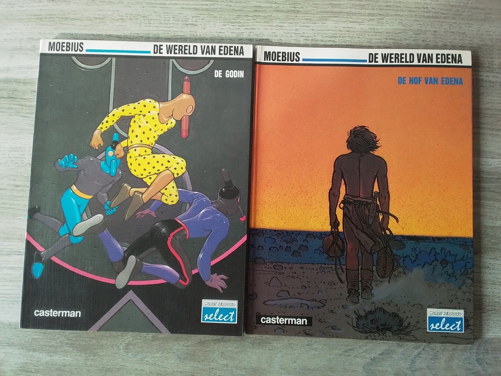 moebius wereld van edena : de godin / hof van edena, Ophalen of Verzenden