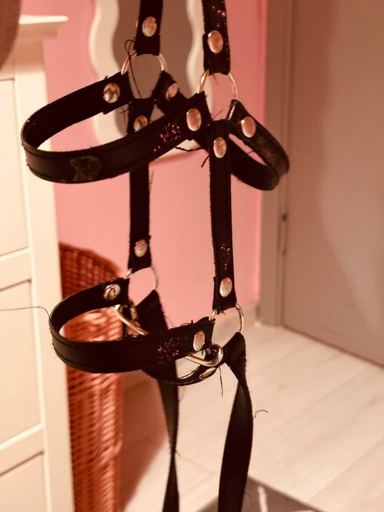 Hobbyhorse voor kinderen, Ophalen, Nieuw