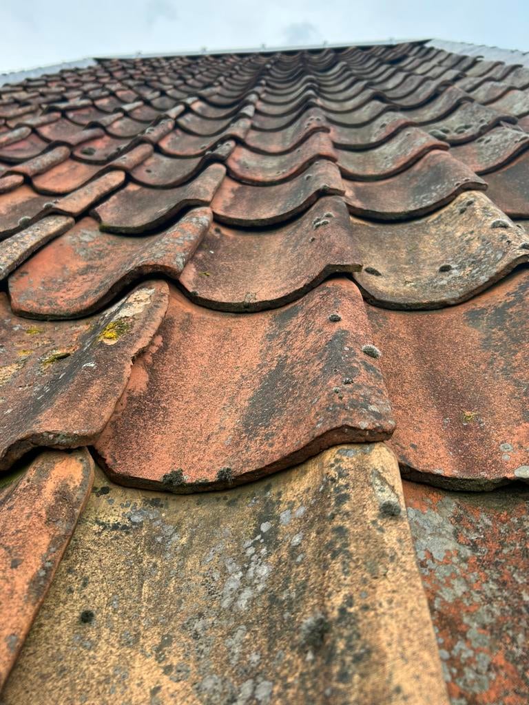 Rode oud hollandse dakpannen ca 2000 stuks, Doe-het-zelf en Bouw, Dakpannen en Dakbedekking, Ophalen, Zo goed als nieuw, Dakpannen