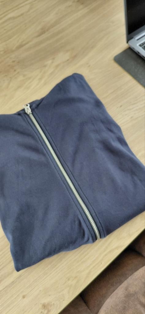 Trui / gilet Jules maat medium, Vêtements | Hommes, Vêtements Homme Autre, Enlèvement