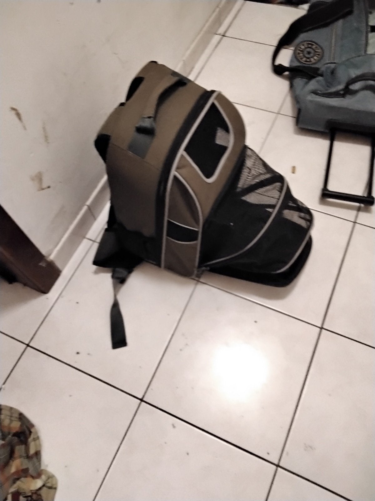 reis rugzak voor poes of kleine hond, Dieren en Toebehoren, Ophalen of Verzenden, Zo goed als nieuw, Draagtas/-zak
