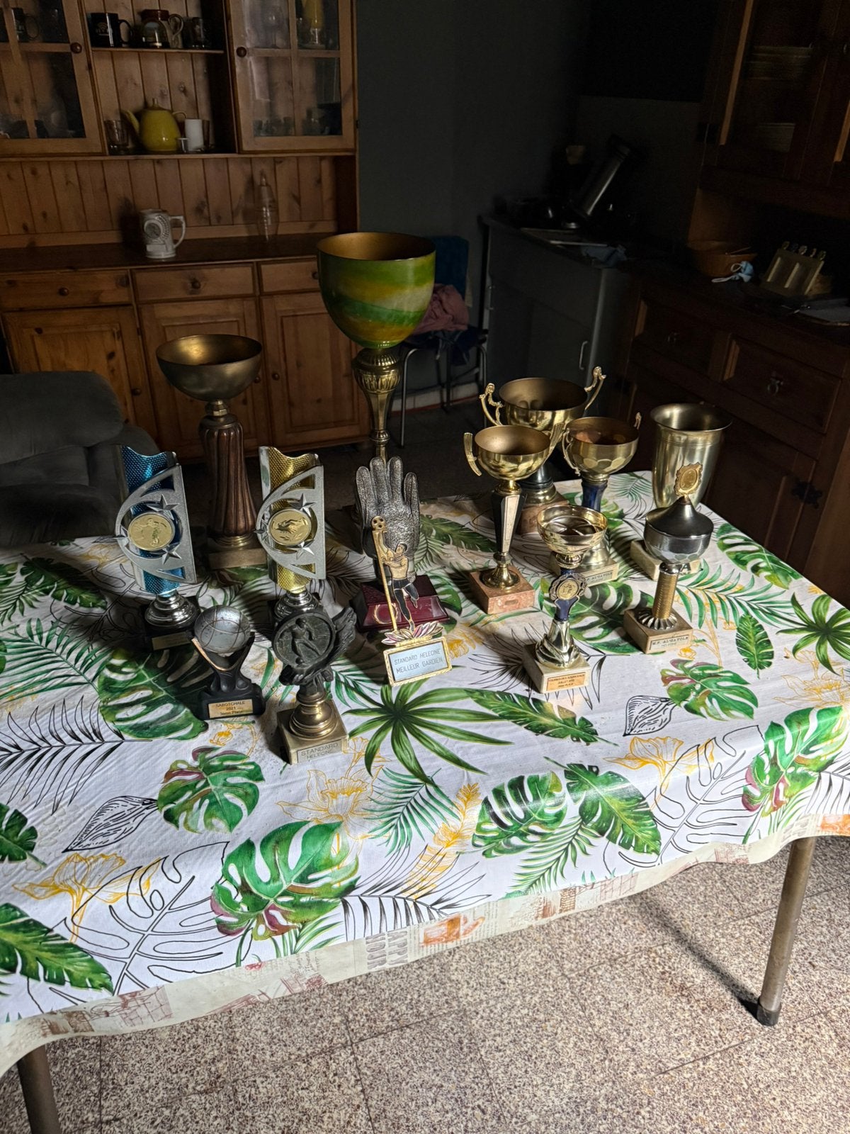 Lot de coupe trophée, Enlèvement, Comme neuf
