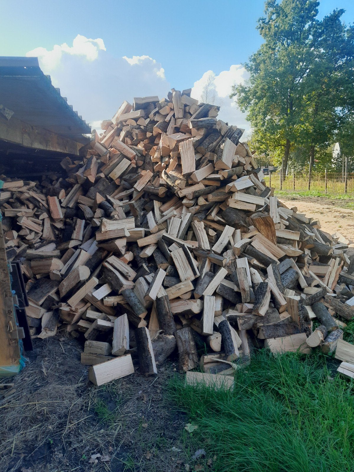 brandhout eik, Enlèvement