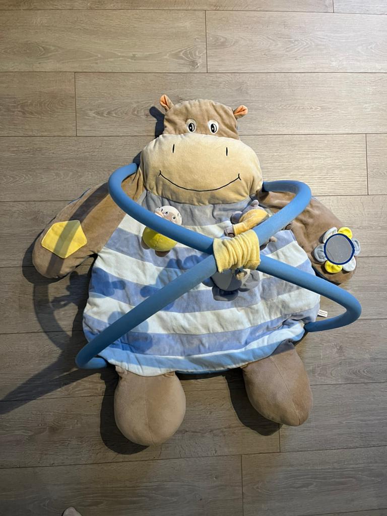 Babygym/speelmat, Kinderen en Baby's, Speelgoed | Babyspeelgoed, Ophalen, Gebruikt, Babygym