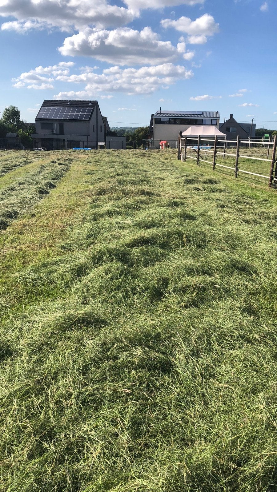 Hooi rechtsreeks van het veld