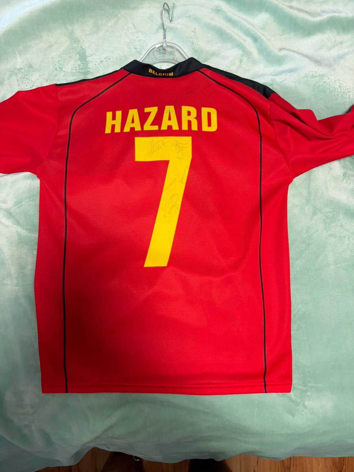 Gesigneerd truitje belgen gouden generatie, Sport en Fitness, Voetbal, Ophalen of Verzenden, Zo goed als nieuw, Shirt