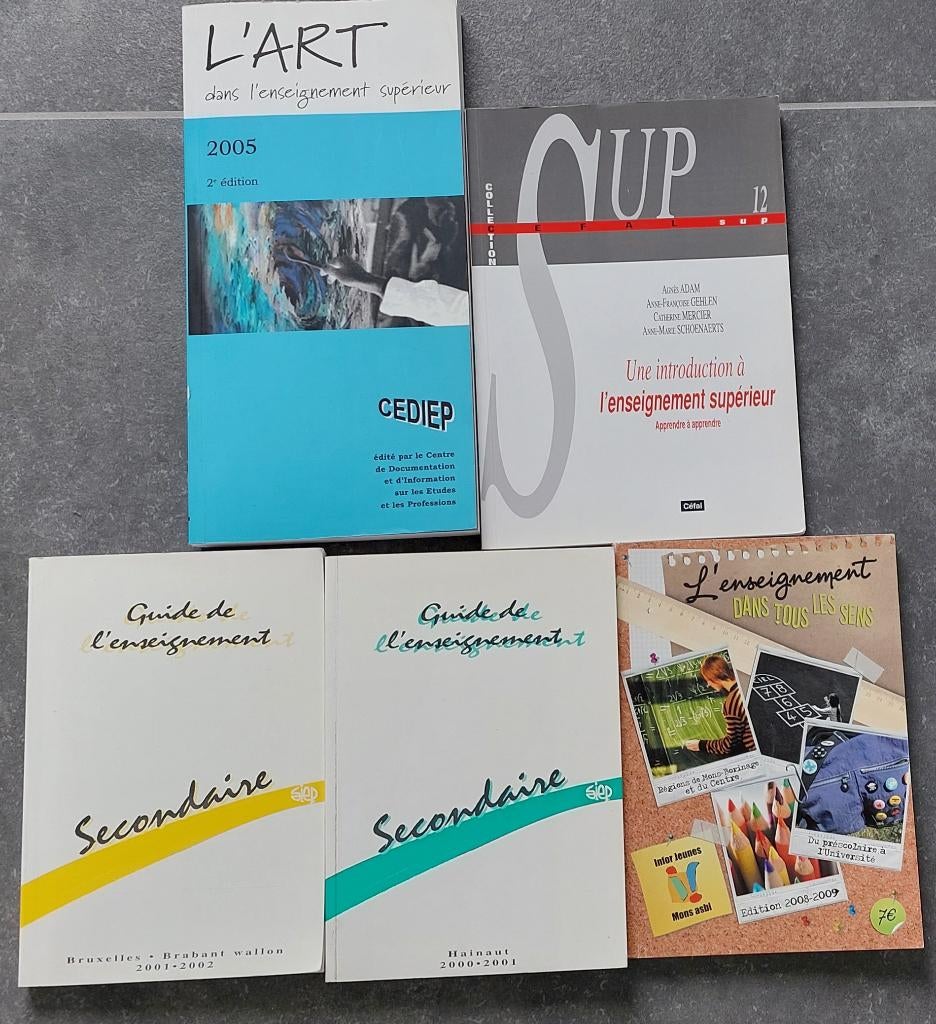 Lot de livres et guides sur l’enseignement, Enlèvement, Secondaire