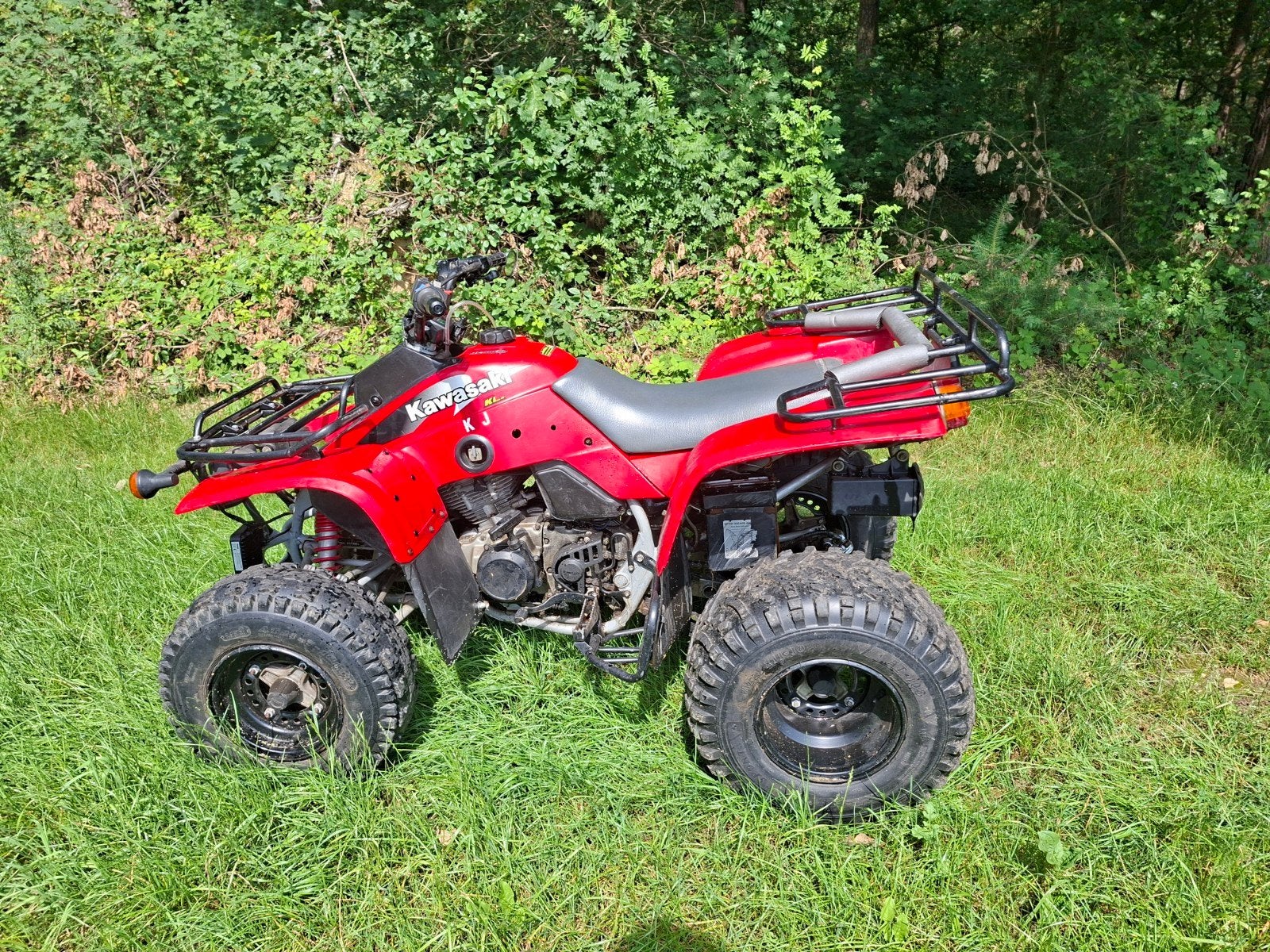 Kawasaki 300cc, Motos