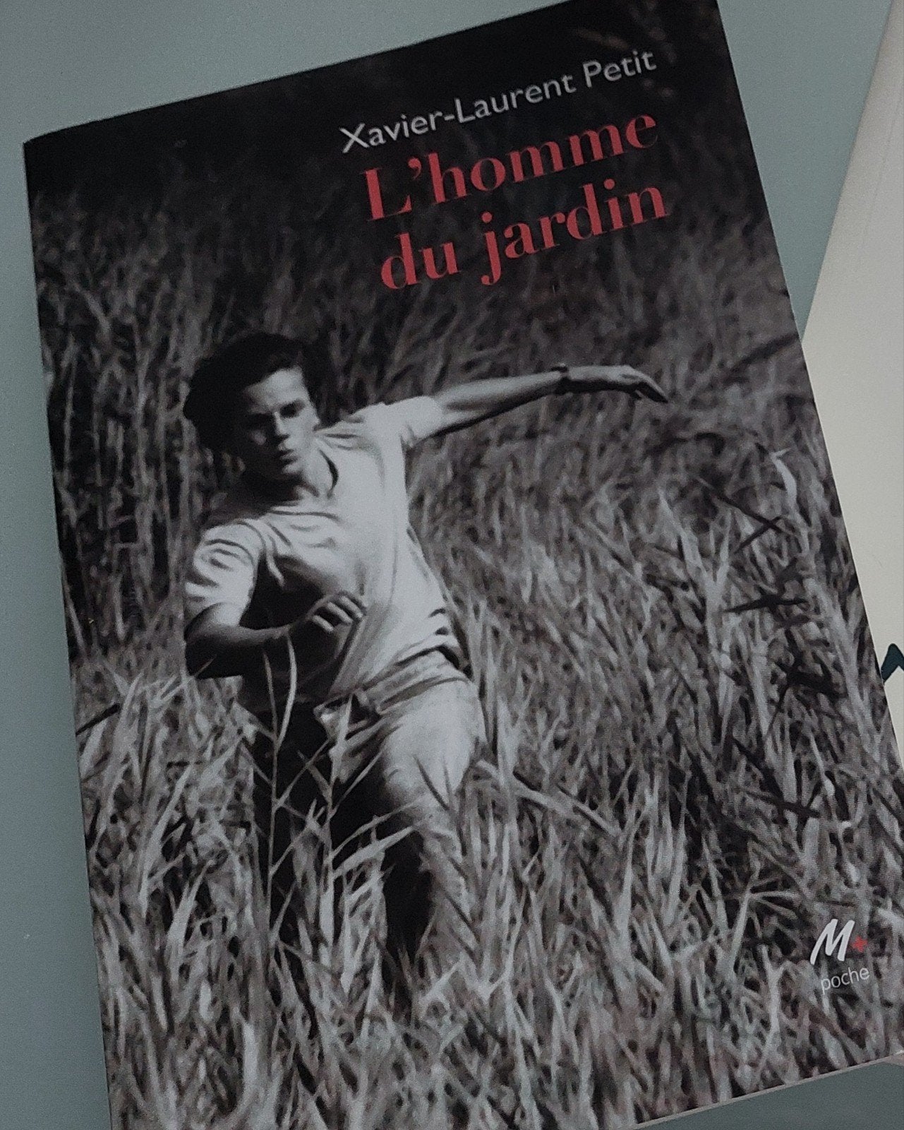 Livre : L'homme du jardin, Livres, Enlèvement ou Envoi, Comme neuf