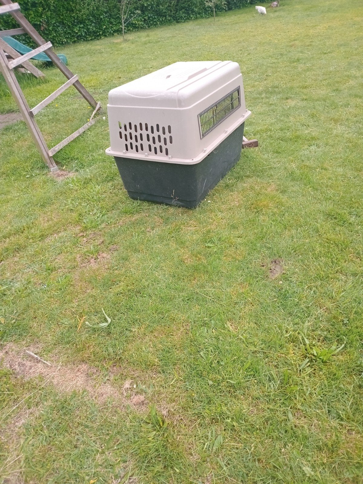 Honden bench, Dieren en Toebehoren, Ophalen