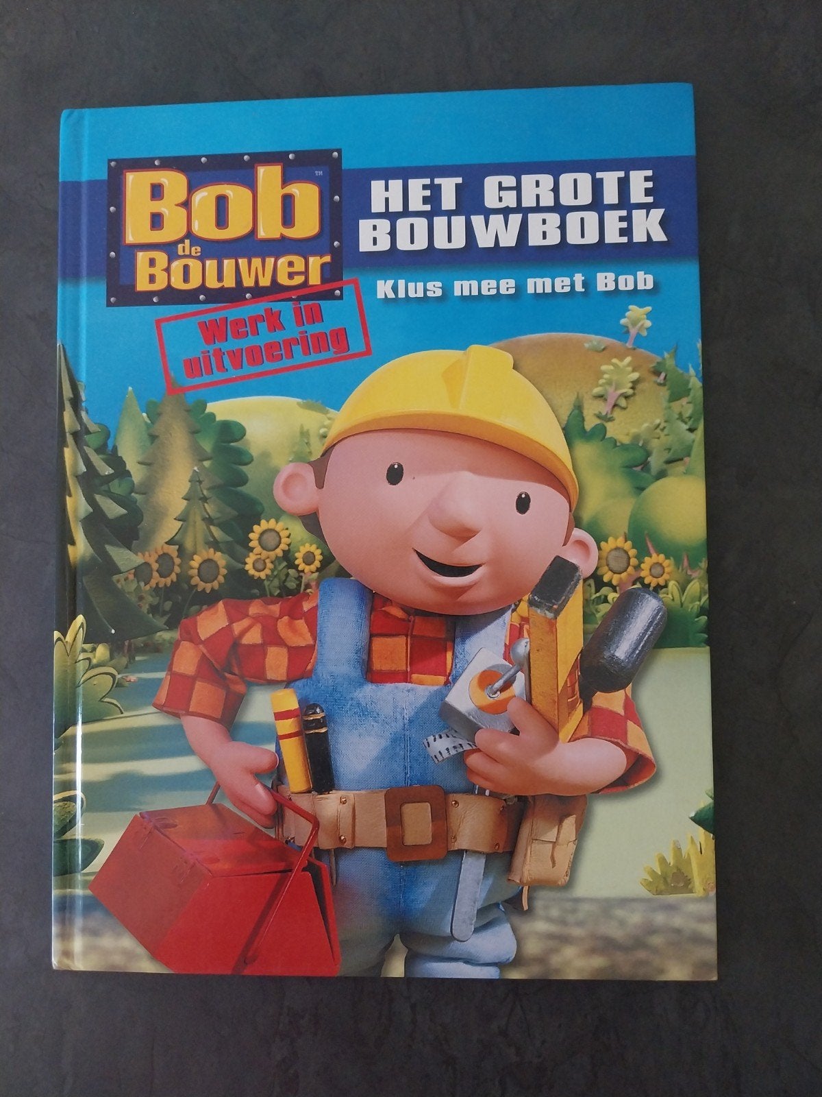 NIEUW. Bob de Bouwer, Het grote bouwboek, Boeken, Ophalen