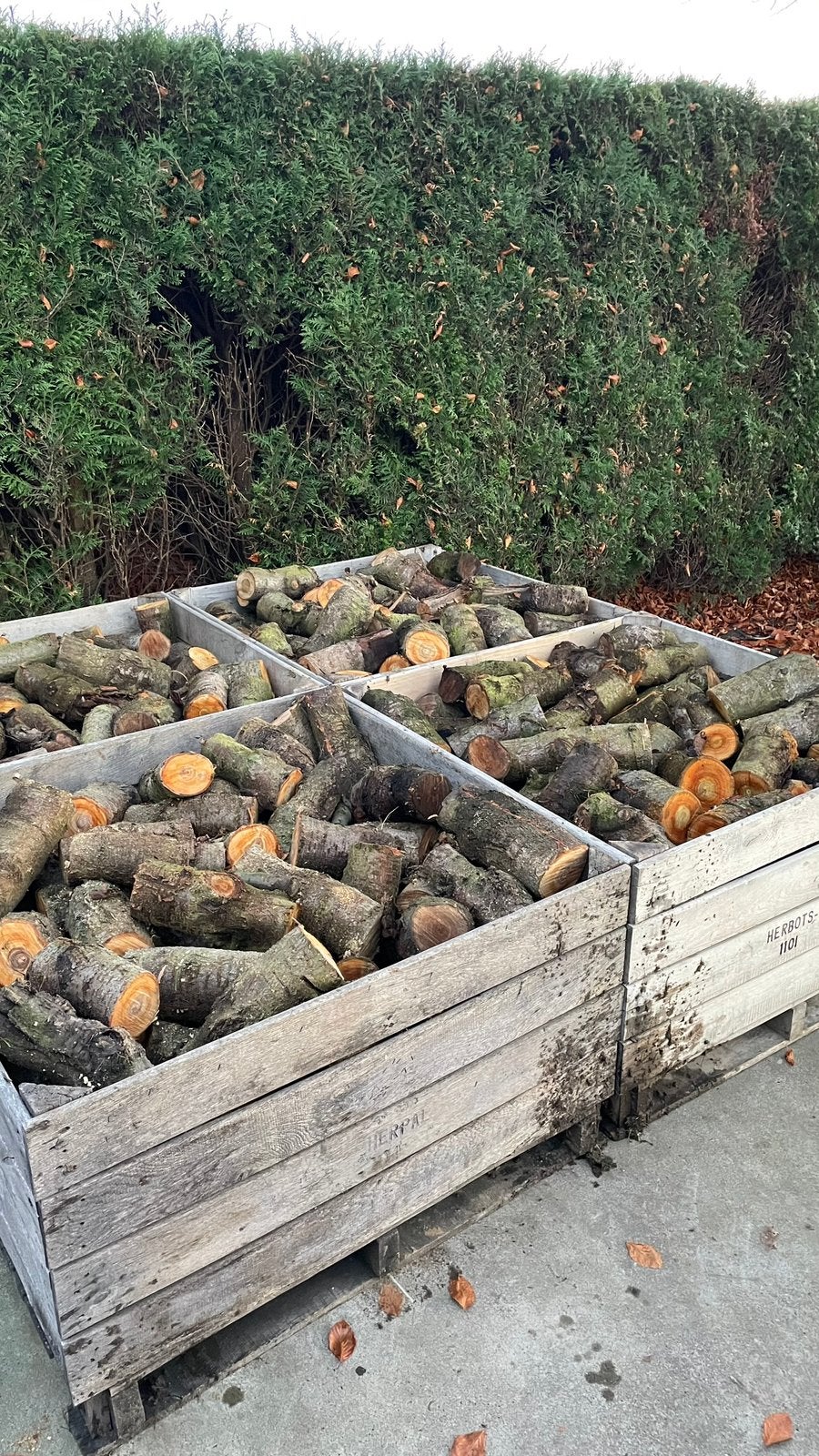 Vers brandhout fruitbomen, 6 m³ of meer, Ophalen of Verzenden, Blokken