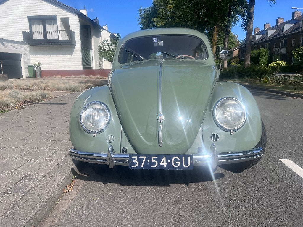 Oldtimer - Volkswagen "Brilkever" -1951-in uitmuntende staat, foto 2