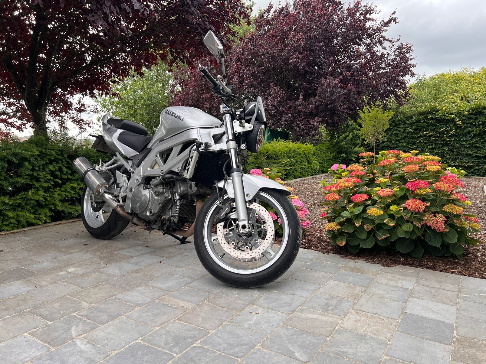 Suzuki sv1000n, Motos, Motos | Suzuki, Particulier, Naked bike, plus de 35 kW, 2 cylindres, Permis Moto A, Échappement sport, Manuelle