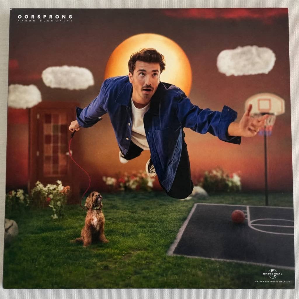 Aaron Blommaert - Oorsprong (CD), Cd's en Dvd's, Eerste persing, Ophalen of Verzenden, Zo goed als nieuw, Pop