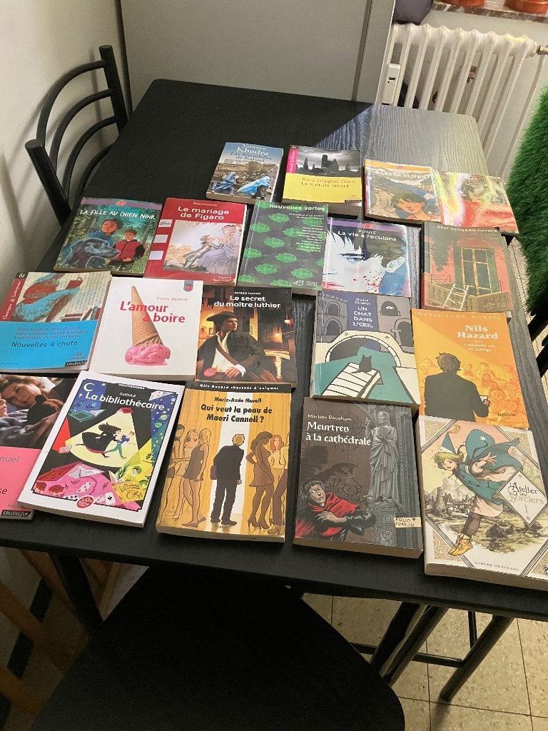 Livres de poche, Livres, Enlèvement, Comme neuf