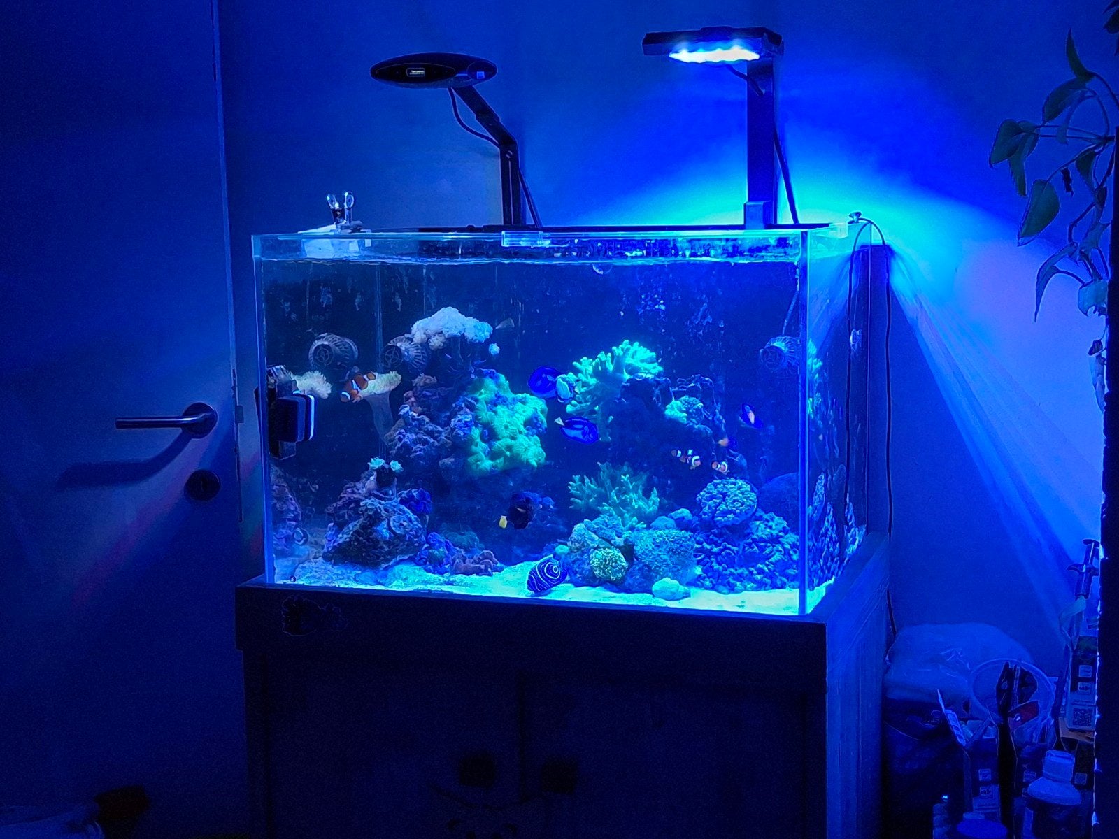 Zeeaquarium leeg blue marine 250 l, Enlèvement, Pompe