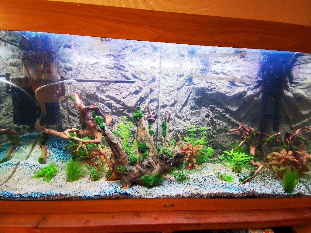 Aquarium met benodigheden, Animaux & Accessoires, Poissons inclus, Enlèvement, Utilisé, Chihiros