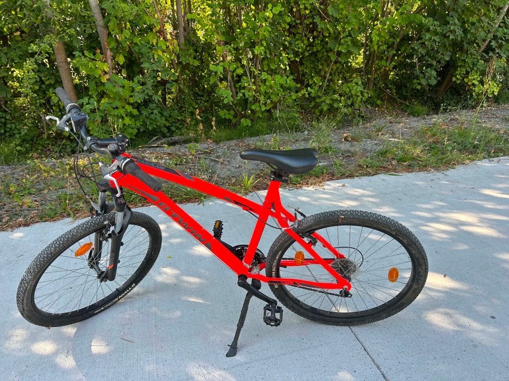 Vélo rockrider, Enlèvement, Neuf, Hommes, Autres marques