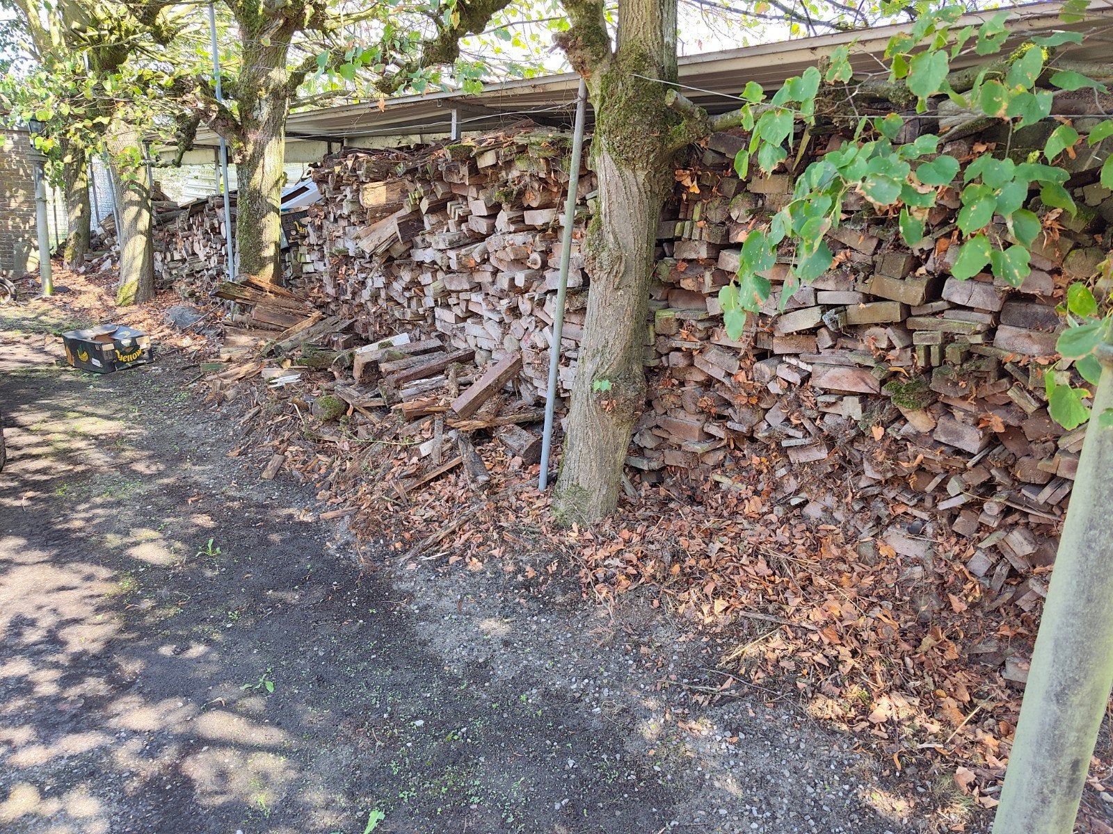 gemengd brandhout, Tuin en Terras, Brandhout, Ophalen