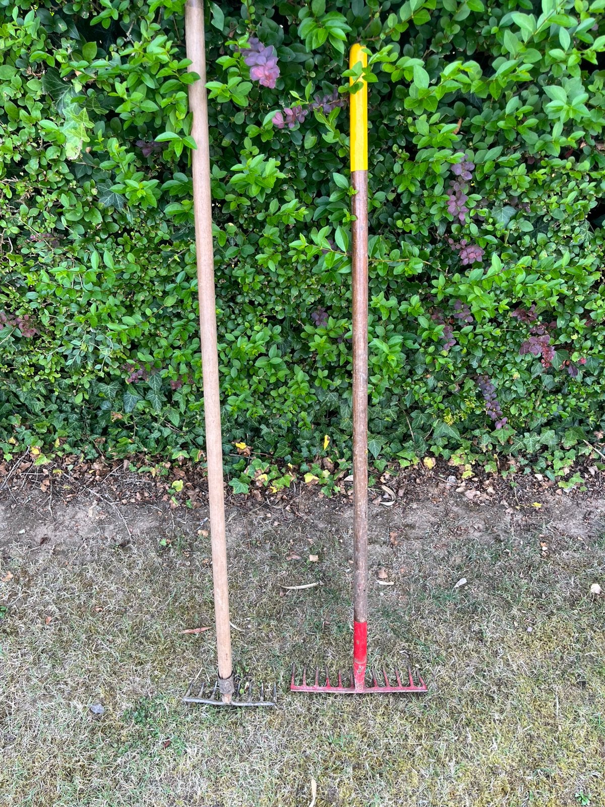 2 râteaux, Jardin & Terrasse, Outils à main, Enlèvement, Comme neuf, Râteau