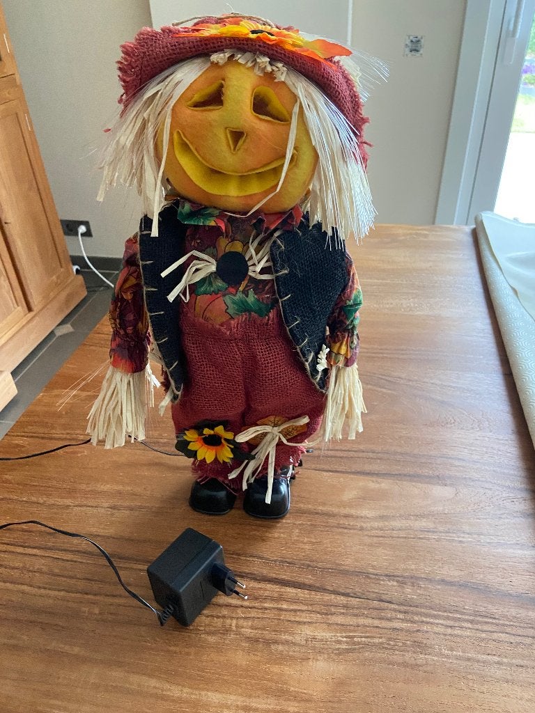 Halloween, met Fiber-optische verlichting, Hobby en Vrije tijd, Feestartikelen, Ophalen of Verzenden, Zo goed als nieuw, Versiering