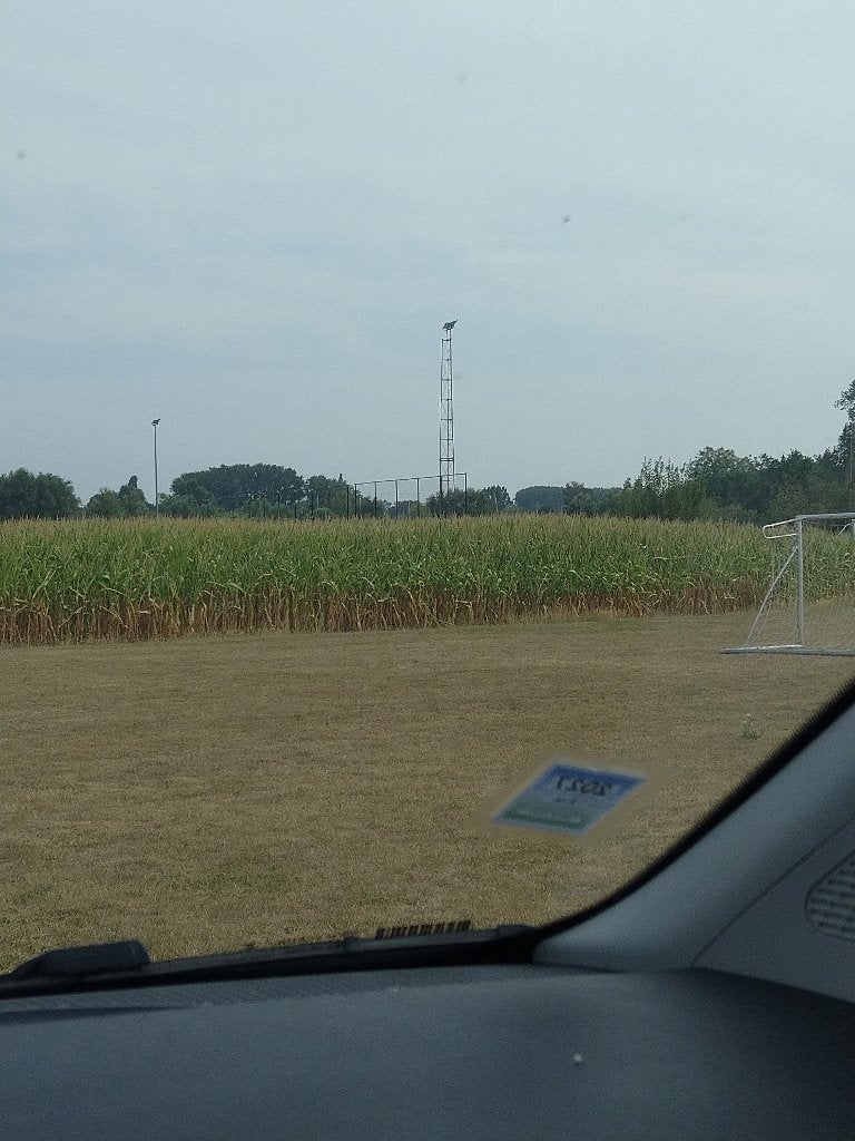Mais 5,43Ha, Zakelijke goederen, Landbouw | Veevoer, Ophalen