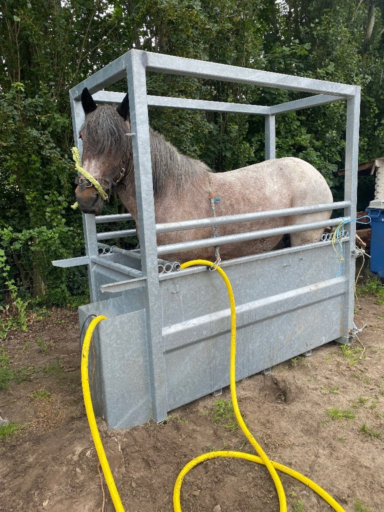 Bad voor paarden