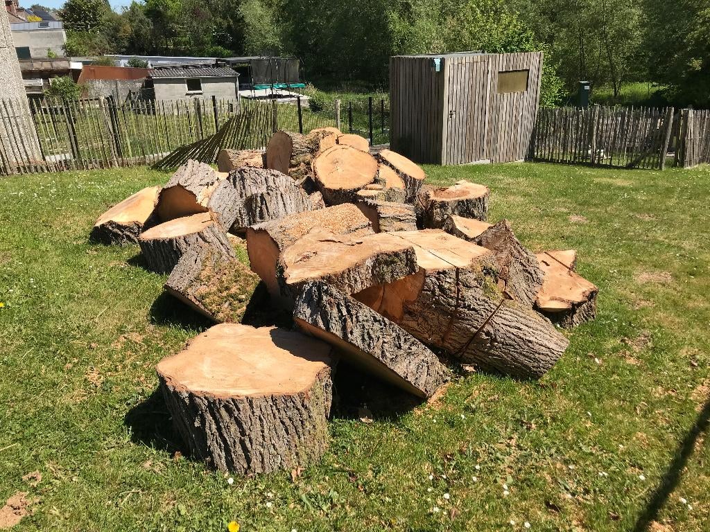 Brandhout, Jardin & Terrasse, Bois de chauffage, Bûches, 3 à 6 m³, Enlèvement