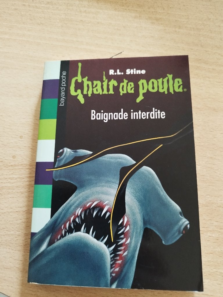 Chair de poule baignade interdite, Livres, Enlèvement ou Envoi, Fiction, Comme neuf, RL Stine