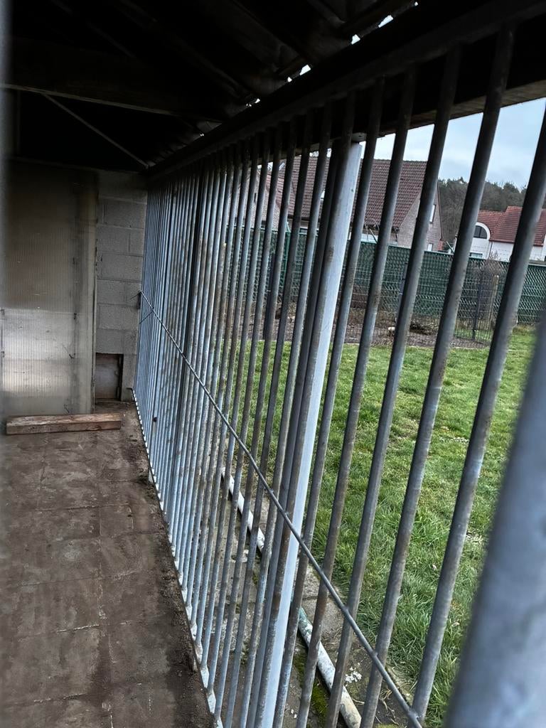 Hondenhok buiten, Tuin en Terras, Ophalen, Met poort, Gebruikt, Overige typen