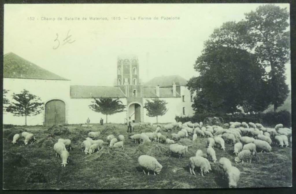 Ansichtkaart Waterloo Slagveld 1815 boerderij Papelotte, Verzamelen, Ophalen of Verzenden, Ongelopen, Waals-Brabant