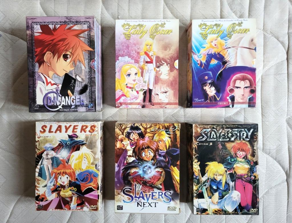 15 DVD Mangas Slayers, CD & DVD, Enlèvement ou Envoi, Coffret, À partir de 9 ans, Utilisé