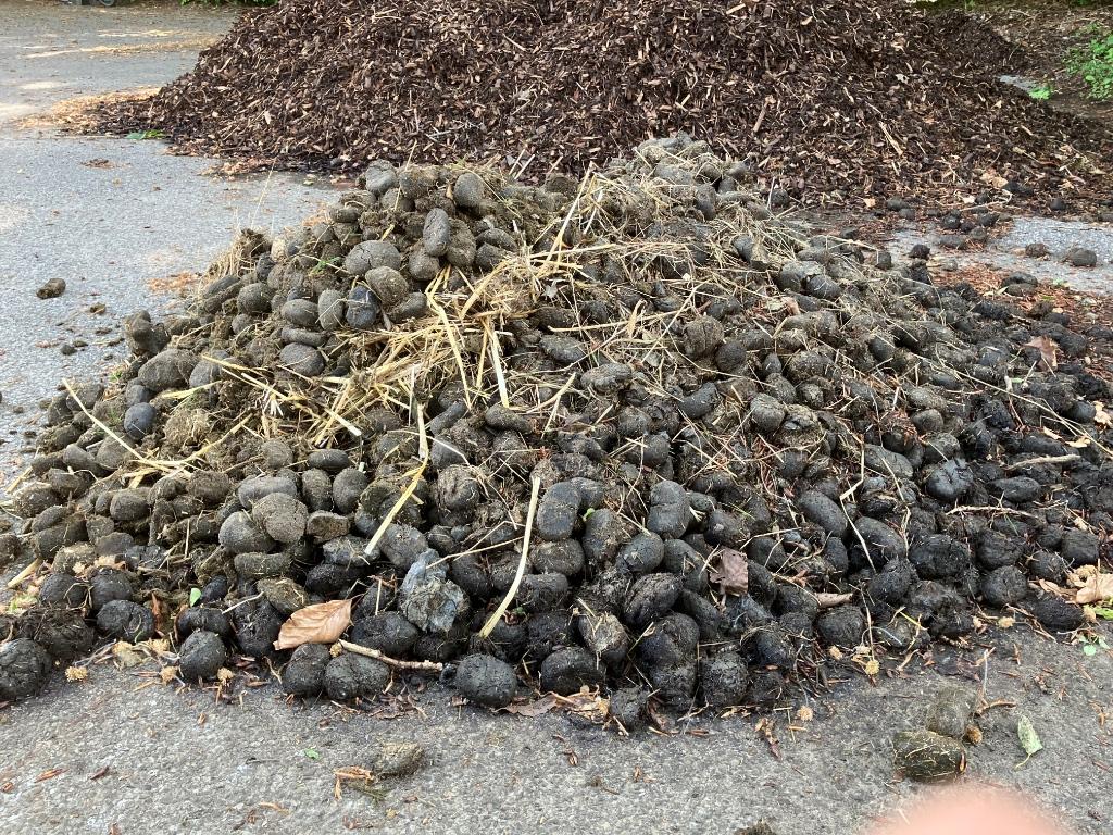 Ezelmest, Ophalen, Mest