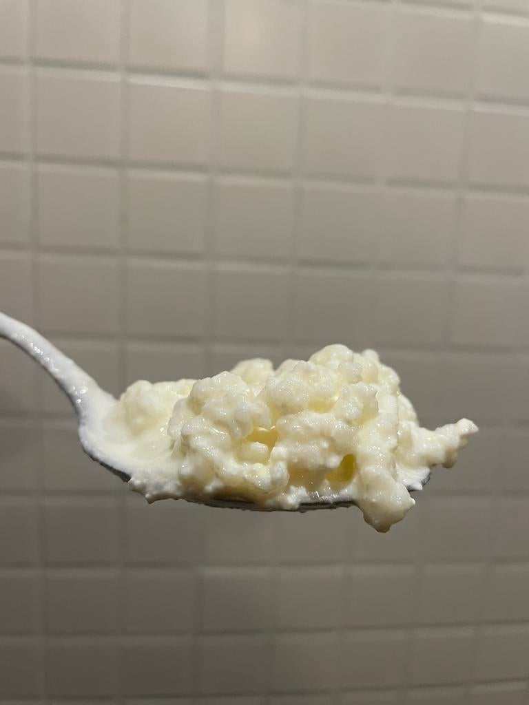 Milk kefir grains, Diversen, Levensmiddelen, Ophalen